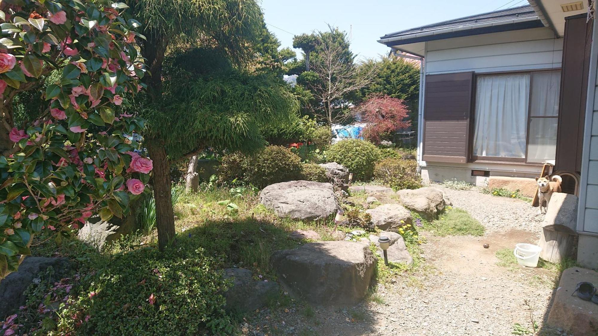 T&T Fujiyama Guest House Fujiyoshida Exterior foto
